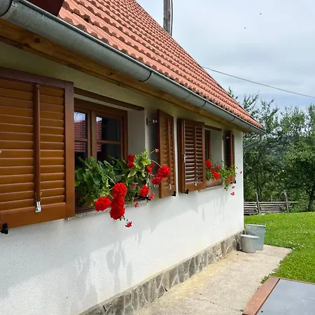 Domacija Brdar Adlesici