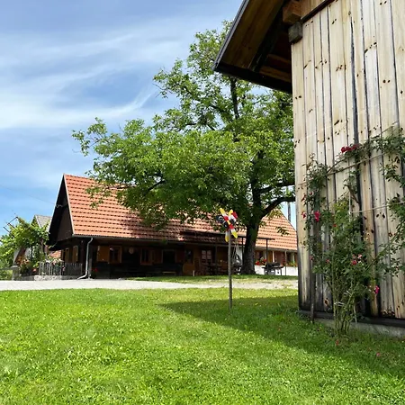 Domacija Brdar * Adlesici