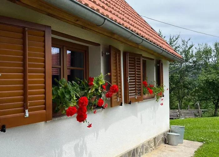 Domacija Brdar Adlesici